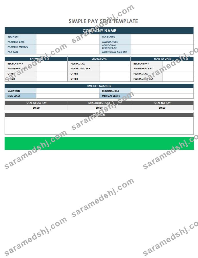 Company pay stub in PDF and Word formats